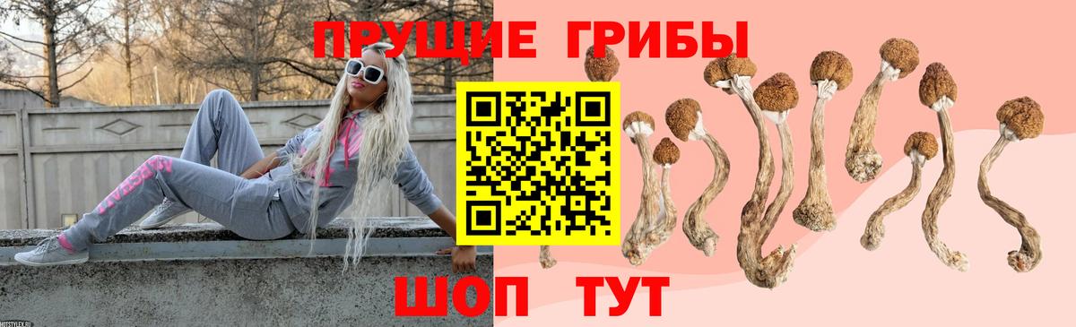 Галлюциногенные грибы Psilocybine cubensis Тайшет